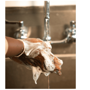 Botanical Soap